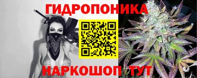 прущие крисы Камышлов