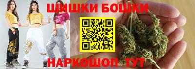 прущие крисы Камышлов