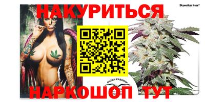прущие крисы Камышлов
