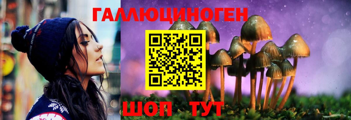 Гусев  Галлюциногенные грибы мицелий  Псилоцибиновые грибы Psilocybine cubensis  Вход с VPN 